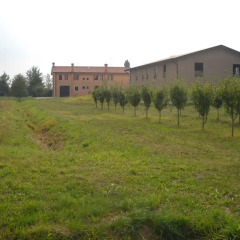 Отель Agriturismo Campi di Grano Ронкаде фото 8