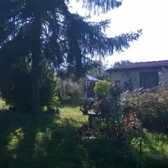 Отель B&B La Gioia dei Sensi Виторкиано фото 6