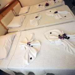 Swans 1 Hotel 2* Стандартный номер фото 3