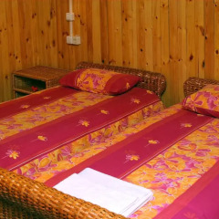 Гостиница Buymerivka Pine Spa-Resort Бунгало