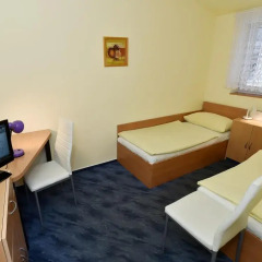 Hotel U Jezirka 3* Стандартный номер фото 2
