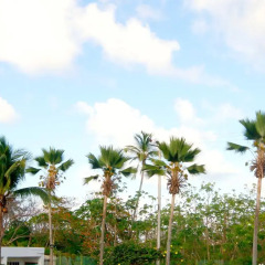 Отель Hosteria Mar y Sol Колумбия, Сан-Андрес - отзывы, цены и фото номеров - забронировать отель Hosteria Mar y Sol онлайн балкон