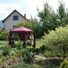 Гостиница Asteria Guest House в Южной Озереевке отзывы, цены и фото номеров - забронировать гостиницу Asteria Guest House онлайн Южная Озереевка детские мероприятия
