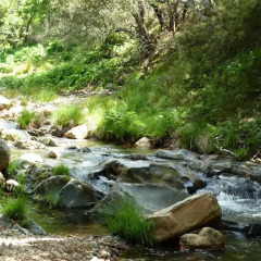 Отель El Capricho de los Montes фото 3