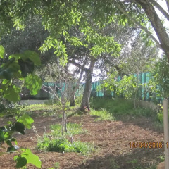 Отель Quinta da Fonte em Moncarapacho фото 2
