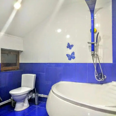 Отель B&B Araz Армения, Дилижан - отзывы, цены и фото номеров - забронировать отель B&B Araz онлайн ванная
