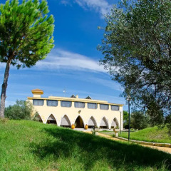 Отель Agriturismo Villa Conca Marco Верноле фото 5