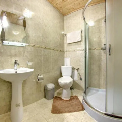 Гостиница Villa Elena 3* Полулюкс с различными типами кроватей фото 2