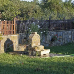 Отель House for Friends Guest House Болгария, Велико Тырново - отзывы, цены и фото номеров - забронировать отель House for Friends Guest House онлайн фото 4