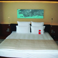 Swissotel Buyuk Efes Izmir 5* Стандартный номер с различными типами кроватей