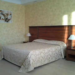 Park-Hotel Pushkin 3* Номер Делюкс с различными типами кроватей