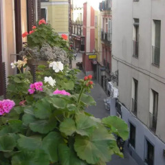Отель Hostal Comercial Стандартный номер с 2 отдельными кроватями фото 7