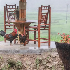 Отель Golden Rice Garden Sapa Шапа фото 9