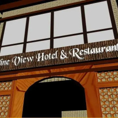 Отель Pineview Hotel Индия, Гульмарг - отзывы, цены и фото номеров - забронировать отель Pineview Hotel онлайн балкон