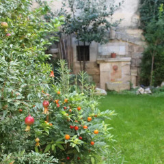 Отель Malta & Tufo Альтамура фото 2