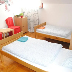 The Cherry Hostel комната для гостей фото 3