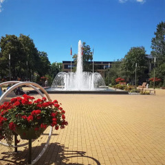 Отель Alanga Hotel Литва, Паланга - 5 отзывов об отеле, цены и фото номеров - забронировать отель Alanga Hotel онлайн фото 4