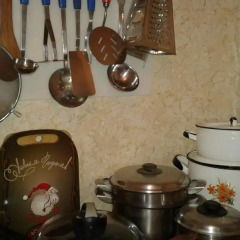 Гостиница Holiday Home Zheleznovodsk в Железноводске отзывы, цены и фото номеров - забронировать гостиницу Holiday Home Zheleznovodsk онлайн Железноводск питание
