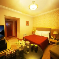Anting Villa Hotel Shanghai 4* Номер Бизнес с различными типами кроватей фото 5