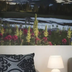 Отель Apartamenty Comfort & Spa Stara Polana Апартаменты фото 50