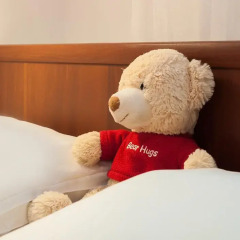 Hotel Kolomna удобства в номере