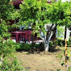 Отель Guest house Villa Lili Берат