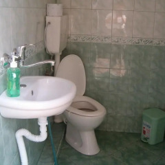 Отель Minchevi Guest House ванная