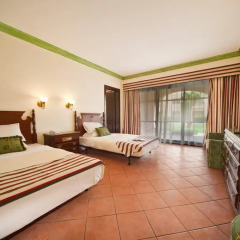 Отель Ali Baba Palace 4* Стандартный номер с различными типами кроватей фото 4