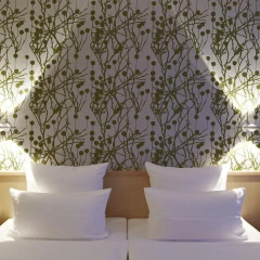 Design Hotel Stadt Rosenheim 3* Номер Комфорт двуспальная кровать