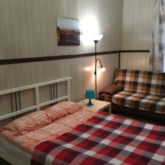 Апартаменты Apartment Rimsky-Korsakov комната для гостей фото 3