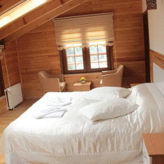 Ayder Umit Otel 3* Номер Делюкс с различными типами кроватей фото 8