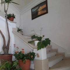 Гостиница Alisa Guest House Апартаменты фото 34