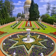 Eden Hahoresh Gueshoue Израиль, Хайфа - отзывы, цены и фото номеров - забронировать отель Eden Hahoresh Gueshoue онлайн детские мероприятия