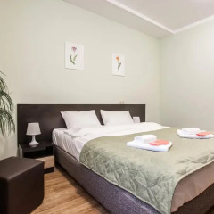 Hotel Volkovsky Стандартный номер фото 10