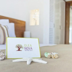 Olea Nova Boutique Hotel 4* Стандартный номер фото 3