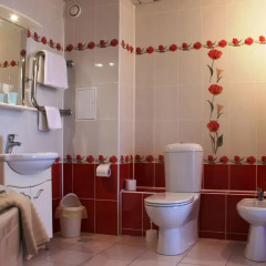 Vitebsk Hotel 3* Улучшенные апартаменты с различными типами кроватей фото 4