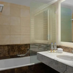 Sheraton Riyadh Hotel & Towers 5* Стандартный номер с различными типами кроватей
