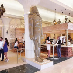 Отель Peermont D'oreale Grande at Emperors Palace гостиничный бар