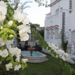 Отель Malabata Guest House Марокко, Танжер - отзывы, цены и фото номеров - забронировать отель Malabata Guest House онлайн фото 3