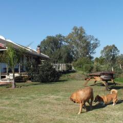 Отель Fish Eagles Lodge с домашними животными