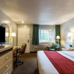 Comfort Inn Palo Alto Stanford University In Palo Alto United