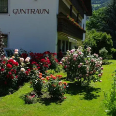 Отель Guntraun Парчинес фото 5