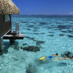 Отель Hilton Moorea Lagoon Resort and Spa 5* Бунгало с различными типами кроватей фото 7