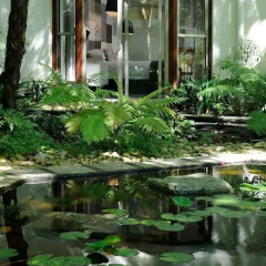 Vineyard Hotel 4* Стандартный номер разные типы кроватей фото 4
