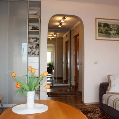 Апартаменты Brīvības Street Studio Apartment комната для гостей