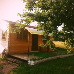 Гостиница Eco-camping Valterra Стандартный номер разные типы кроватей