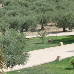 Отель Casal da Porta - Quinta da Porta