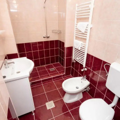 Отель Grand Boulevard Apartments Венгрия, Будапешт - отзывы, цены и фото номеров - забронировать отель Grand Boulevard Apartments онлайн ванная фото 2