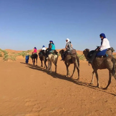 Отель Trekking in Merzouga Марокко, Мерзуга - отзывы, цены и фото номеров - забронировать отель Trekking in Merzouga онлайн спортивное сооружение