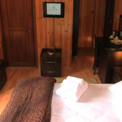 Villa de Pelit Hotel 3* Стандартный номер с двуспальной кроватью